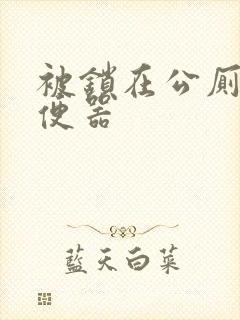 被锁在公厕当坐便器封面