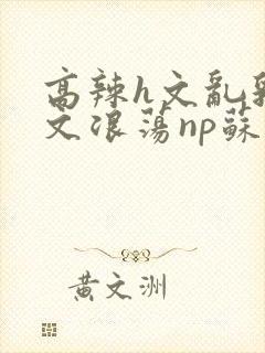 高辣h文乱乳h文浪荡np苏夏封面