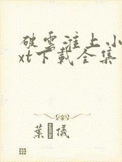 破云淮上小说txt下载全集