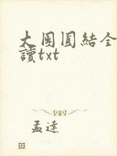 大团圆结全文阅读txt