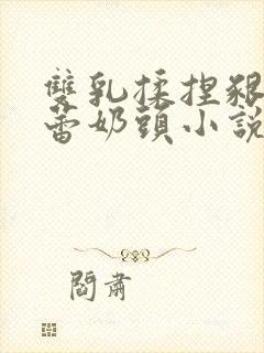 双乳揉捏啃咬蓓蕾奶头小说