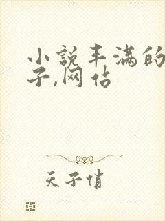 小说丰满的大奶子,网站