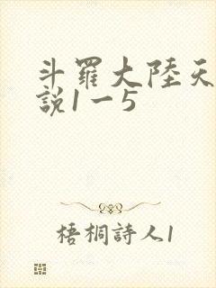 斗罗大陆天狂传说1一5