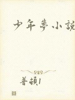 少年梦小说