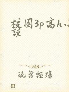 校园3p高h小说