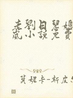 老刘日儿媳妇张岚小说免费阅读