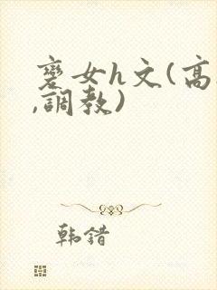 变女h文(高h,调教)