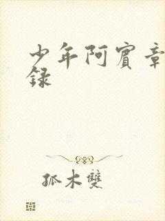 少年阿宾章节目录