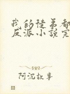 我的徒弟都是大反派小说完全版