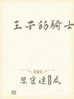 王子的骑士小说