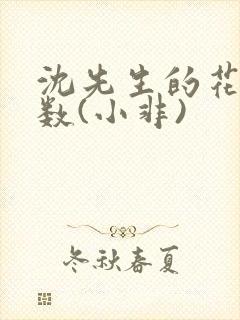 沈先生的花式调数(小非)