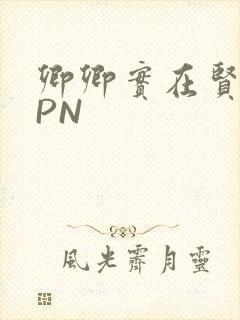 卿卿实在贤良NPN