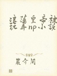 浪荡皇帝被多人玩弄np小说