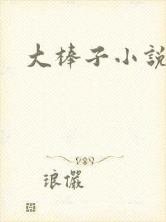 大棒子小说封面