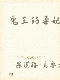 鬼王的毒妃封面