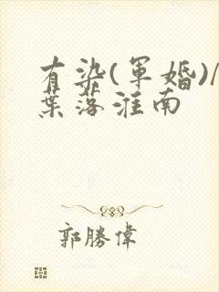 有染(军婚)/叶落淮南