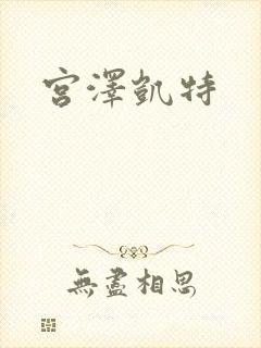 宫泽凯特封面