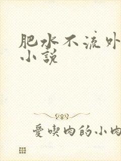 肥水不流外人田小说