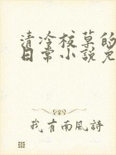 清冷校草的堕落日常小说免费阅读
