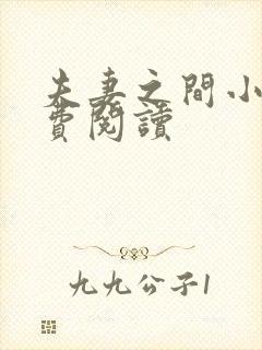 夫妻之间小说免费阅读