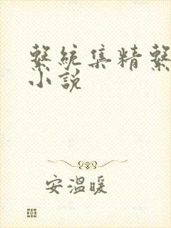 系统集精系统 小说