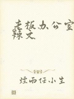 老板办公室系列辣文