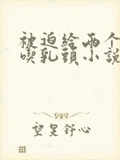 被迫给两个同桌吃乳头小说封面