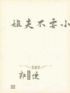 姐夫不要小说
