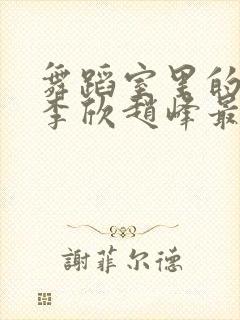 舞蹈室里的景色李欣赵峰最新章节