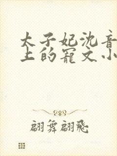 太子妃沈音和皇上的宠文小说