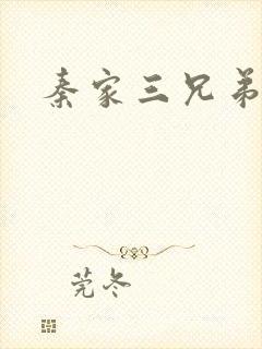 秦家三兄弟封面