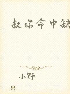 叔你命中缺我封面