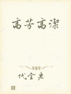 高芳高洁封面