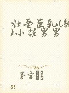 壮受巨乳(骚受)小说男男