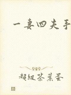 一妻四夫手记封面