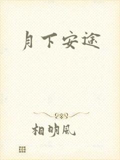 月下安途