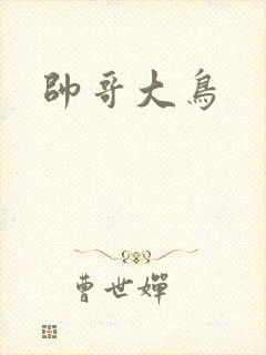 帅哥大鸟
