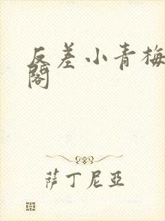 反差小青梅笔趣阁封面