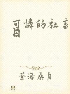 可怜的社畜东度日封面