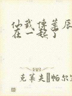 仙武传叶辰和谁在一起了