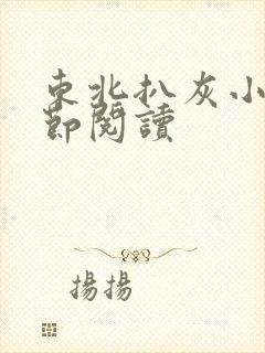 东北扒灰小说分节阅读封面