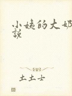 小姨的大奶子小说