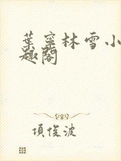 叶宁林雪小说笔趣阁