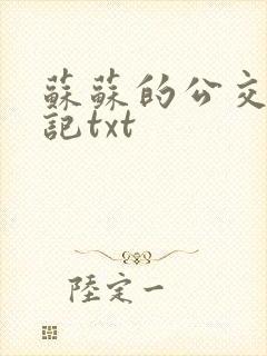 苏苏的公交车日记txt封面