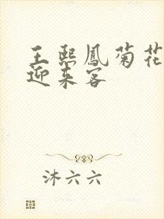 王熙凤菊花门初迎来客