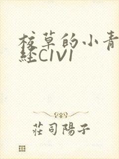 校草的小青梅不经C1V1封面