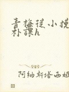 青梅从小摸到大补课h封面