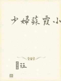 少妇苏霞小说封面