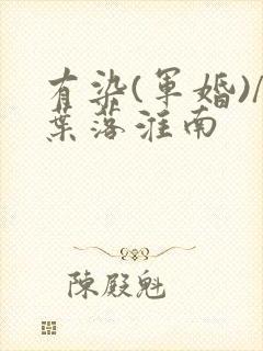 有染(军婚)/叶落淮南