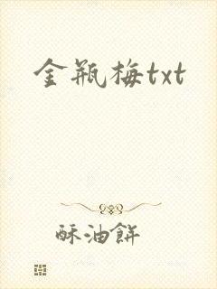 金瓶梅txt封面